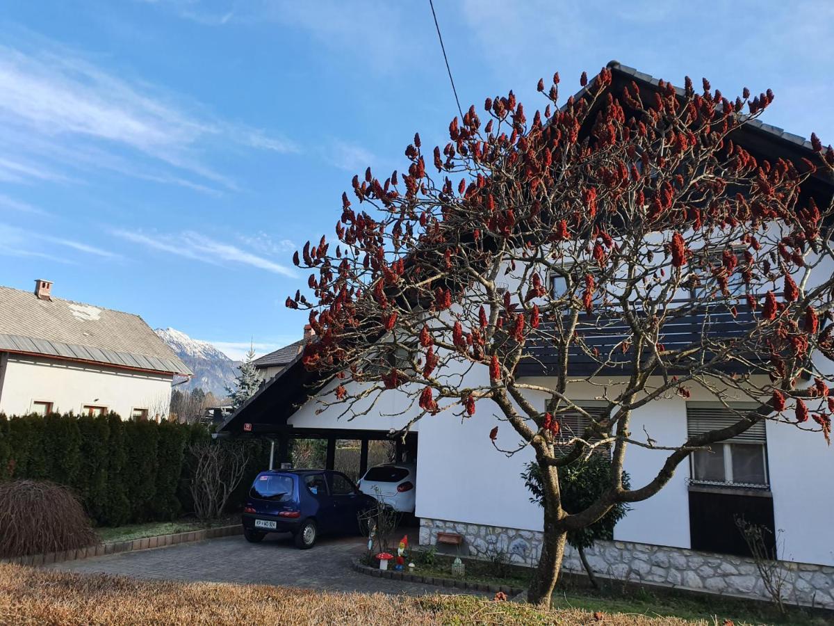 Apartma Take It Easy Bled Exterior photo